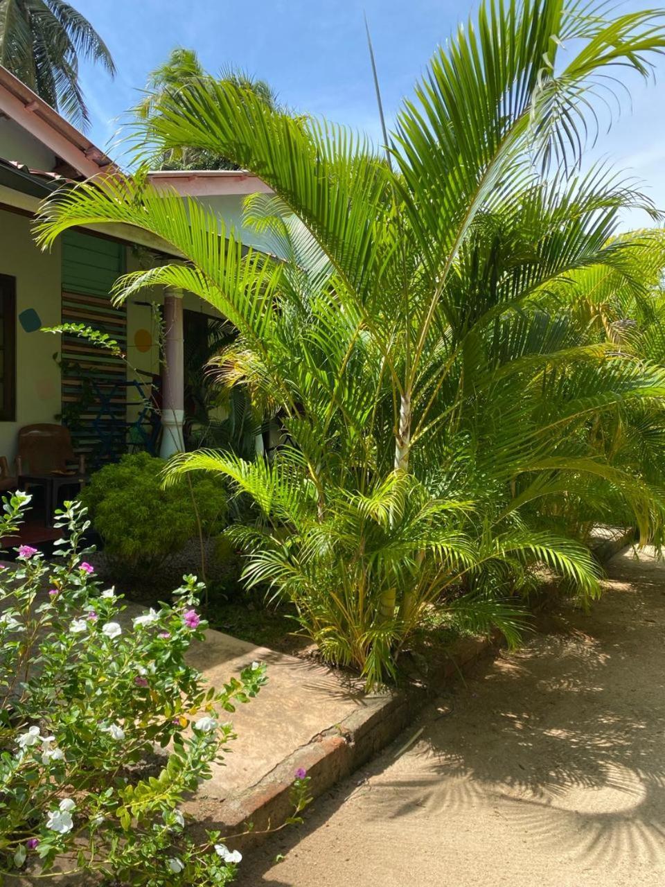 Elena Garden Resort And Restaurant Trincomalee Luaran gambar
