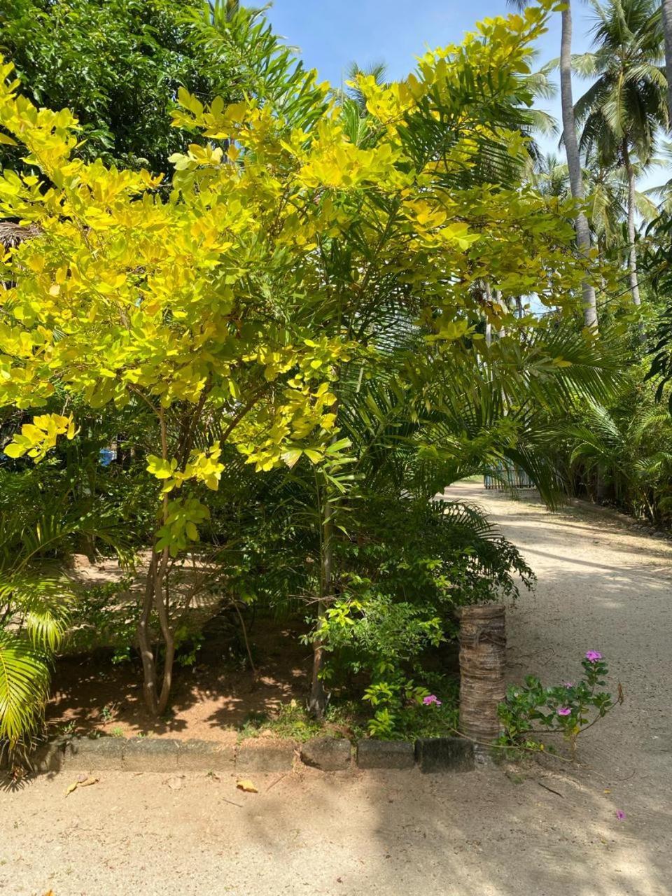 Elena Garden Resort And Restaurant Trincomalee Luaran gambar