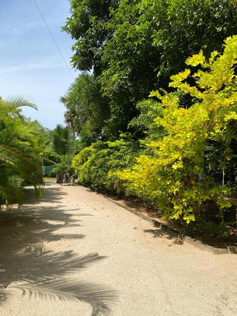 Elena Garden Resort And Restaurant Trincomalee Luaran gambar