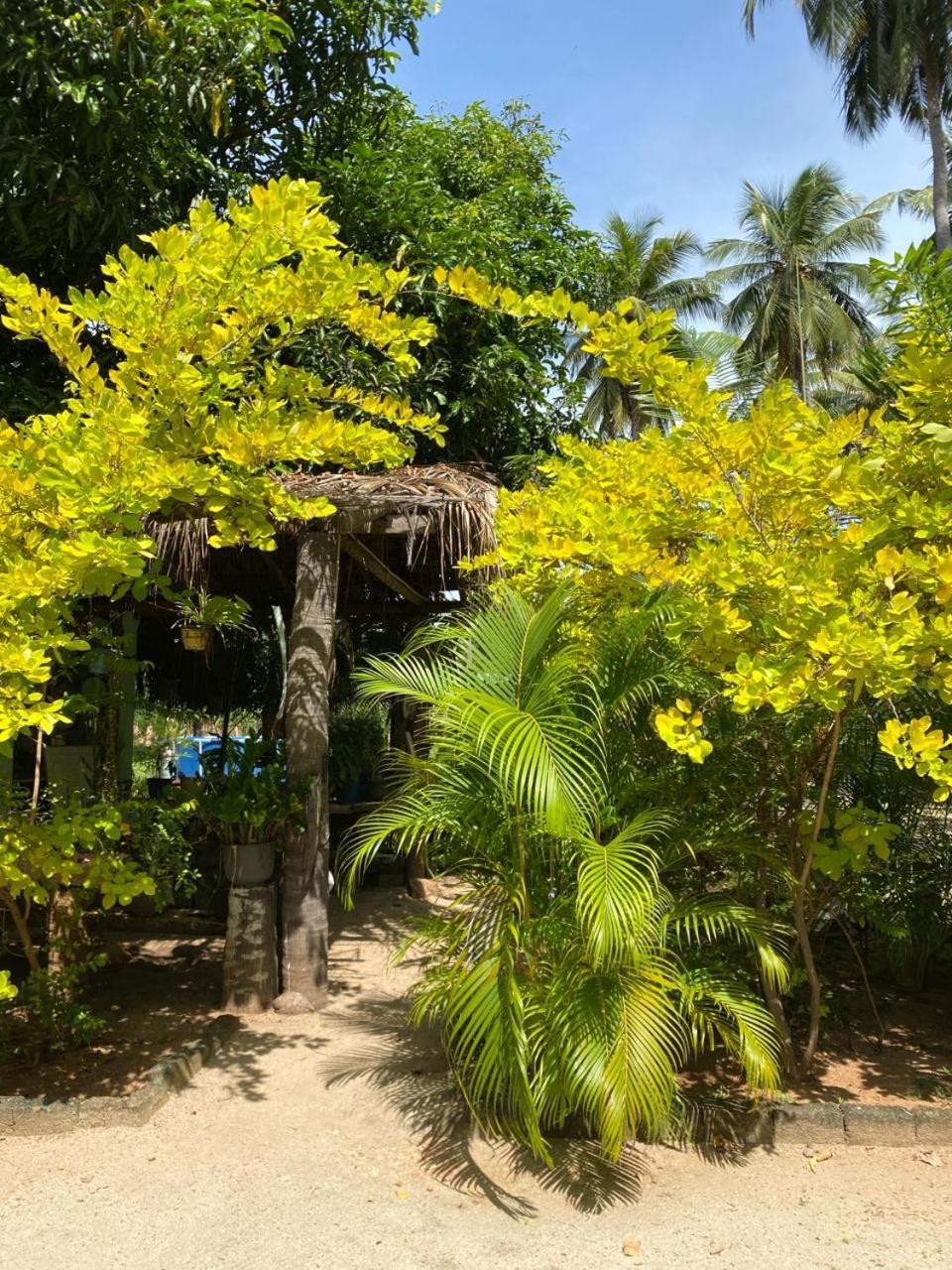 Elena Garden Resort And Restaurant Trincomalee Luaran gambar